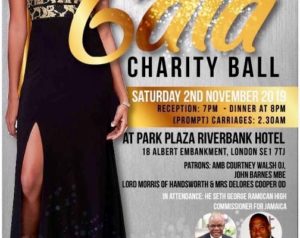 Annual Gala Charity Ball Park Plaza | Jamaica Basic Schools Foundation