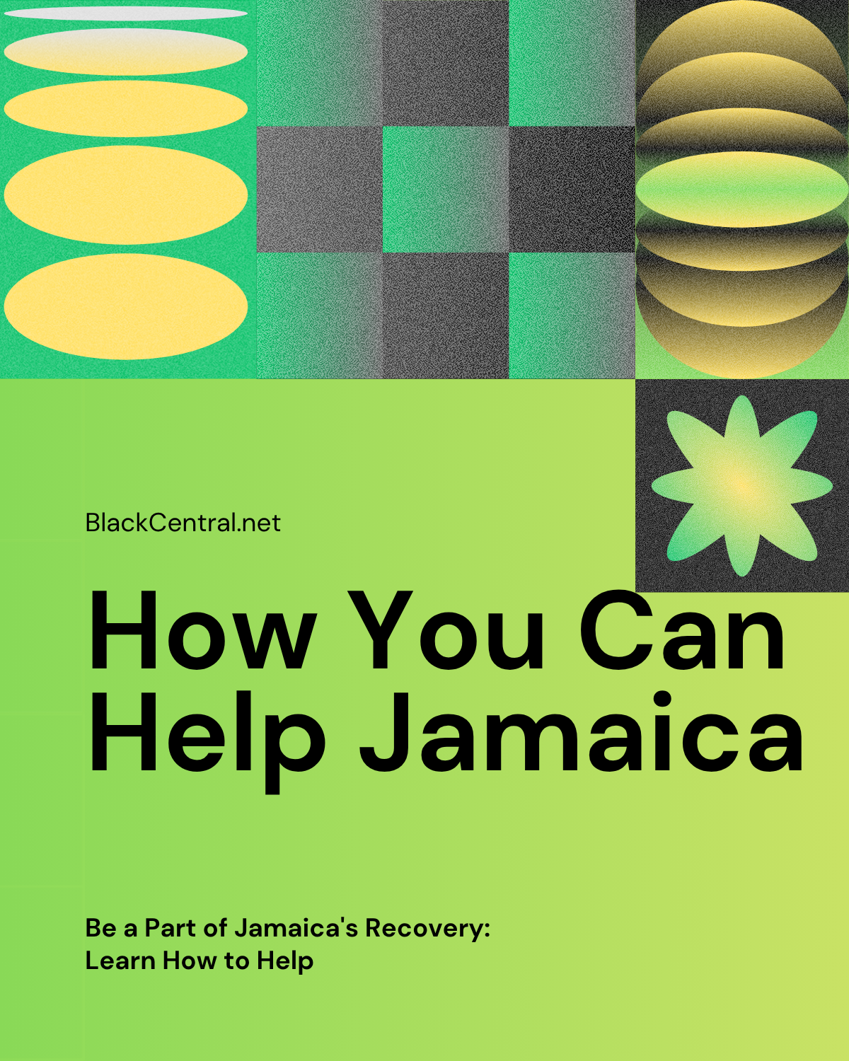 Your Guide: Helping Jamaica After Hurricane Melissa.